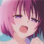 高冷羊的头像-一起玩MC-华欣云资源站